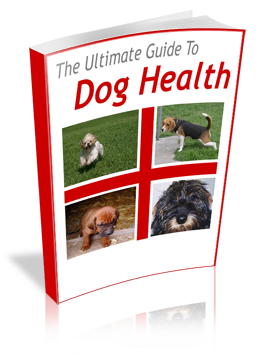 The Ultimate Guide to Dog Health