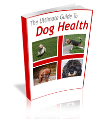 The Ultimate Guide to Dog Health cover