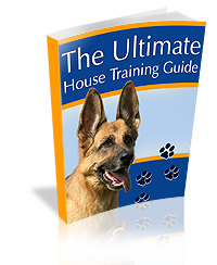 The Ultimate House Training Guide cover