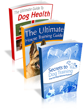 The Secrets to Dog Training, Ultimate House Training Guide and Ultimate Guide to Dog Health books
