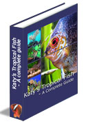 Katy's Tropical Fish cover