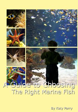 A Guide to Choosing the Right Marine Fish cover