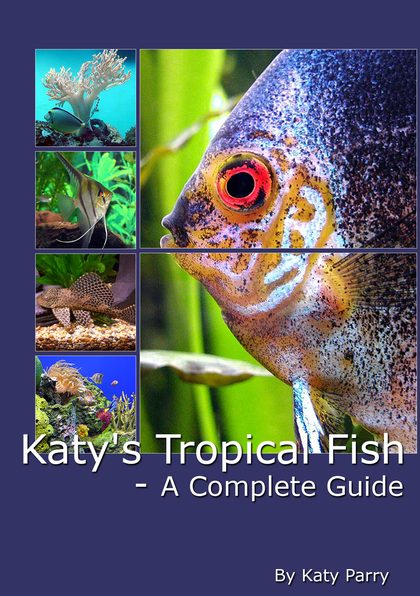Katy’s Tropical Fish book cover