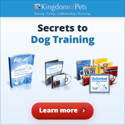 Secrets to Dog Training. Shown with the eBook, video, audio book and bonus books.