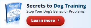 Secrets to Dog Training: Stop Your Dog's Behavior Problems! Shown with the eBook cover.