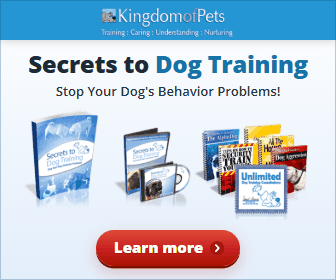 Secrets to Dog Training: Stop Your Dog's Behavior Problems! Shown with the eBook, video, audio book and bonus books.