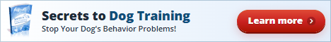 Secrets to Dog Training: Stop Your Dog's Behavior Problems! Shown with the eBook cover.
