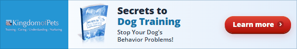 Secrets to Dog Training: Stop Your Dog's Behavior Problems! Shown with the eBook cover.