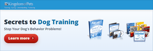 Secrets to Dog Training: Stop Your Dog's Behavior Problems! Shown with the eBook, video, audio book and bonus books.