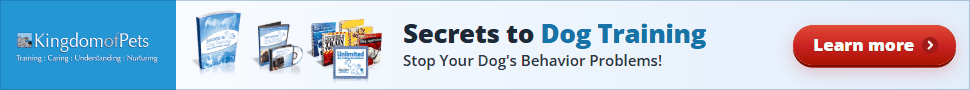 Secrets to Dog Training: Stop Your Dog's Behavior Problems! Shown with the eBook, video, audio book and bonus books.