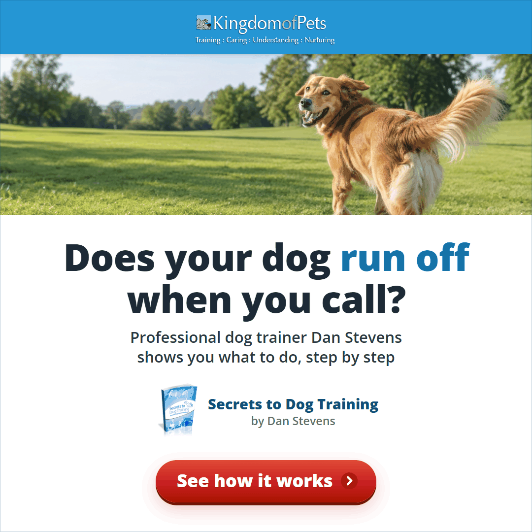 Does your dog run off when you call? Professional dog trainer Dan Stevens shows you what to do, step by step. Photo of a golden dog running off across a park.
