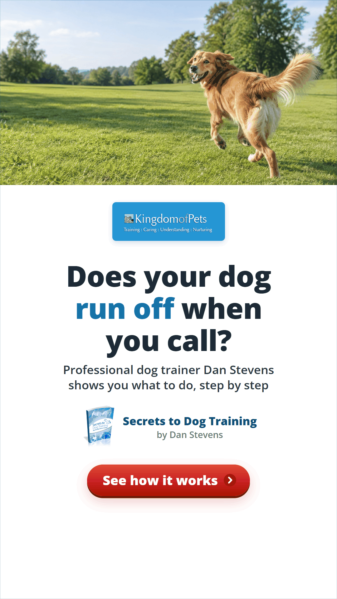 Does your dog run off when you call? Professional dog trainer Dan Stevens shows you what to do, step by step. Photo of a golden dog running off across a park.