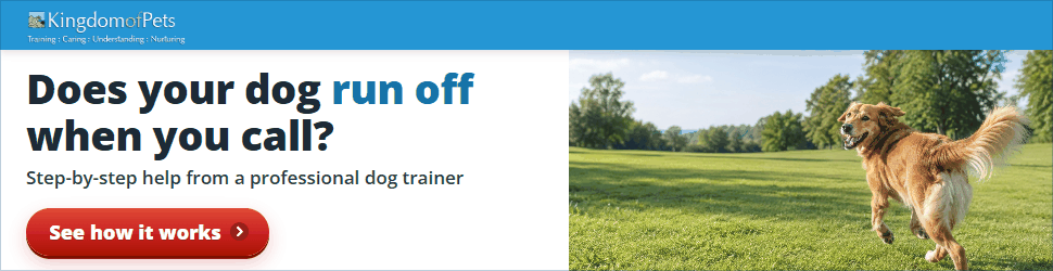 Does your dog run off when you call? Step-by-step help from a professional dog trainer. Photo of a golden dog running off across a park.