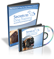 Secrets to Dog Training video program case with the audio book CD