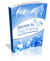 Secrets to Dog Training book cover