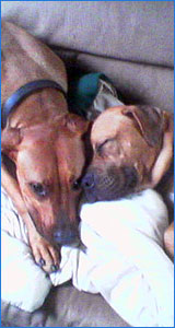 Jahn Hargrave